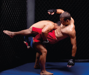 mma-bizot-usmetro